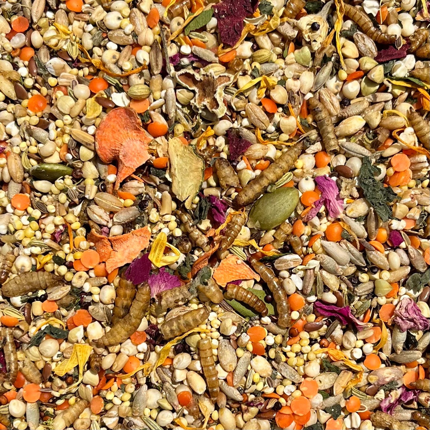 Mouse Blend - Seed Mix For Mice