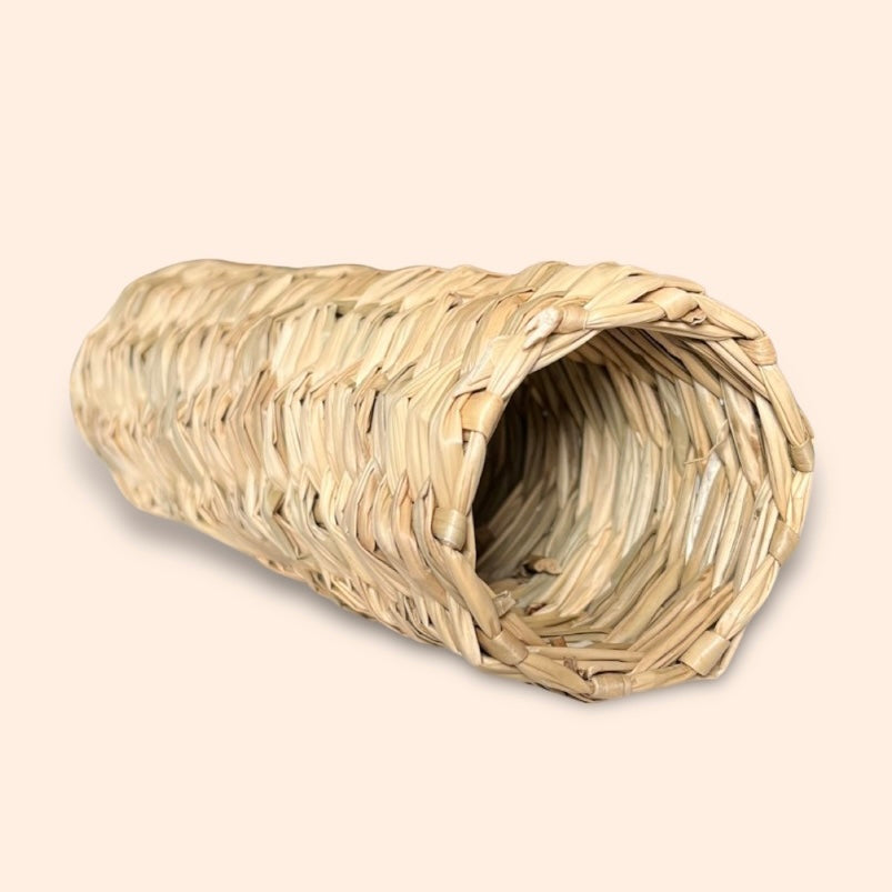 Seagrass Tunnel - Hide and Enrichment Toy