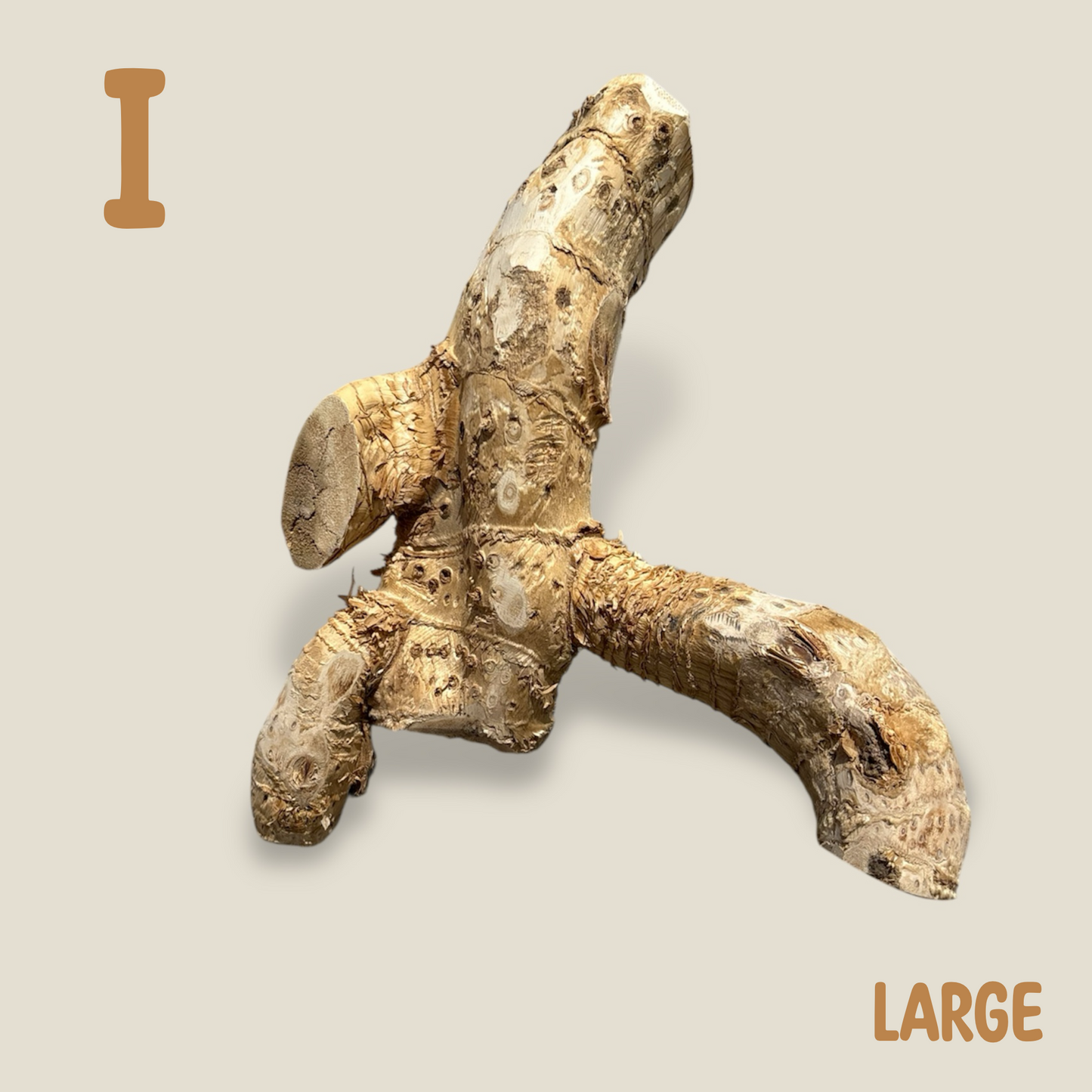 Bamboo Root