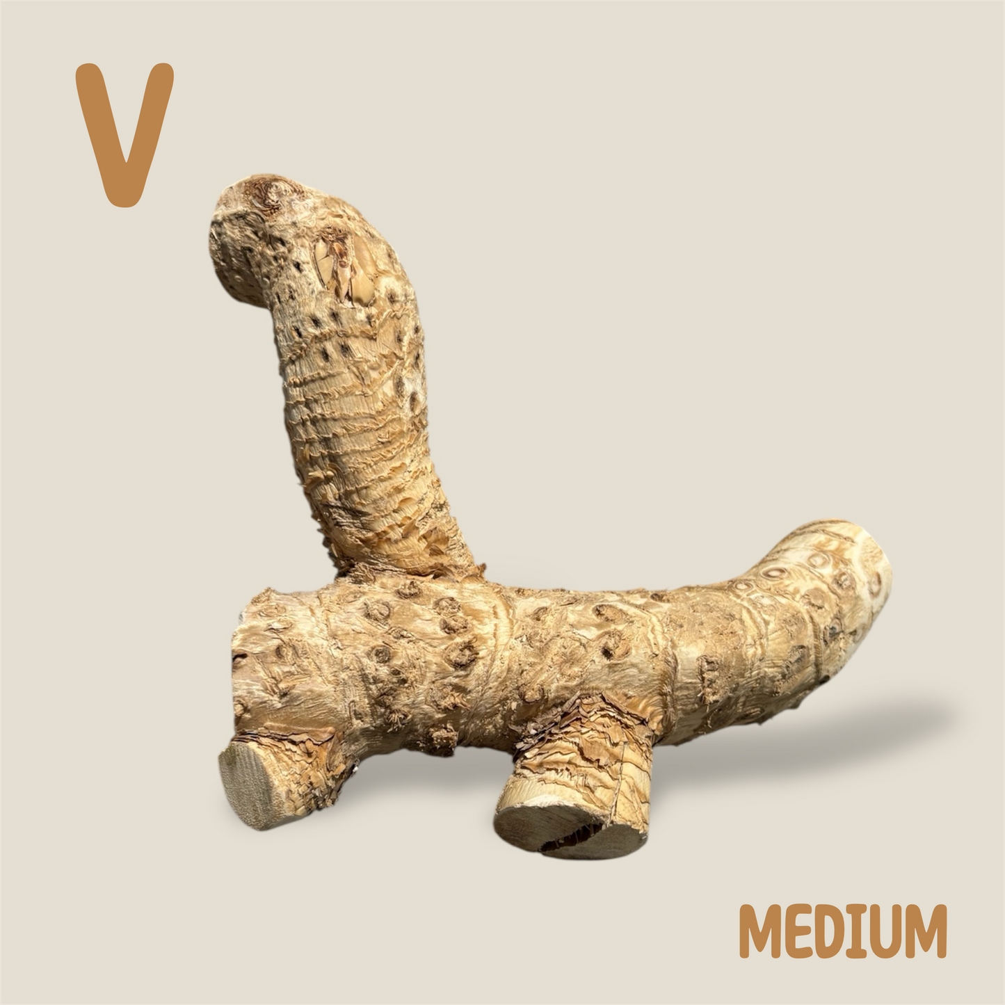 Bamboo Root