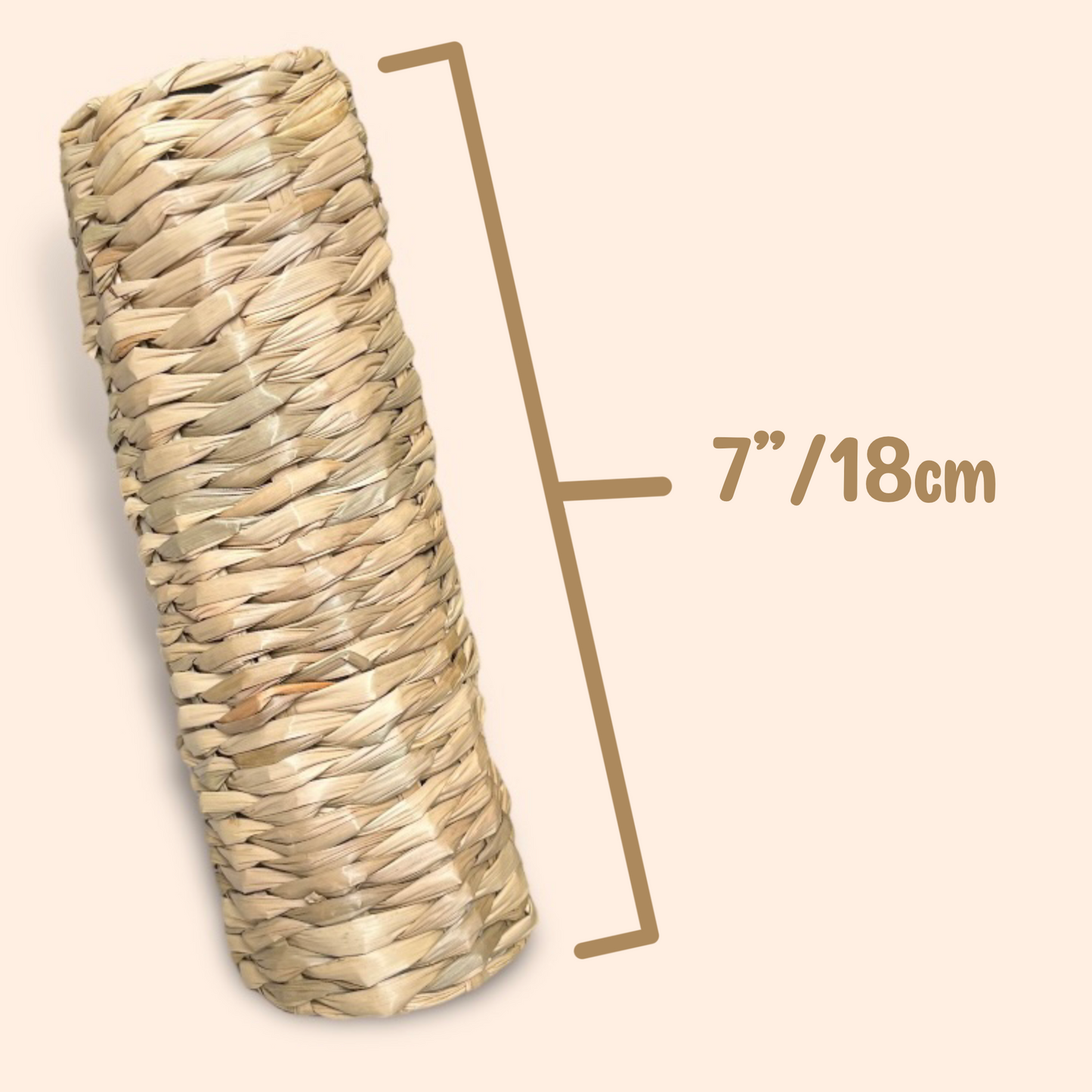 Seagrass Tunnel - Hide and Enrichment Toy