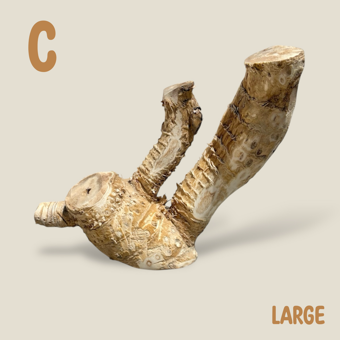 Bamboo Root