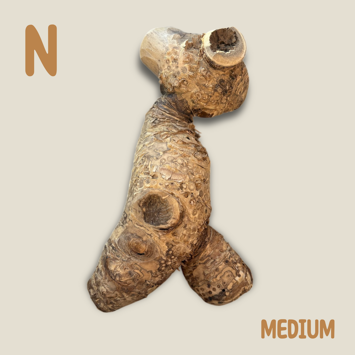 Bamboo Root