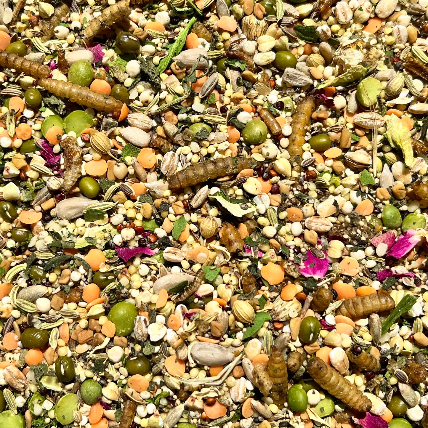 Dwarf Blend - Dwarf Hamster Diet