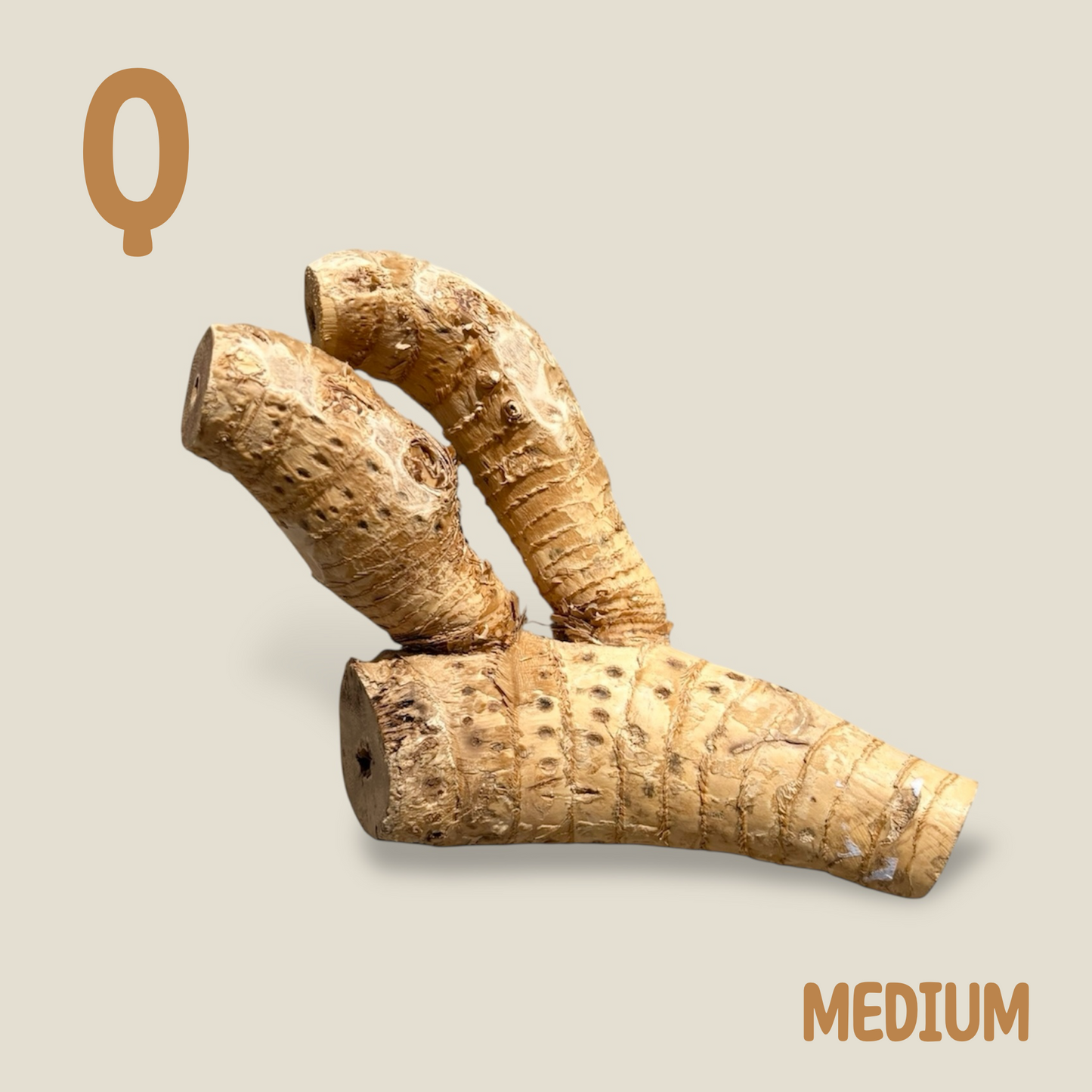 Bamboo Root