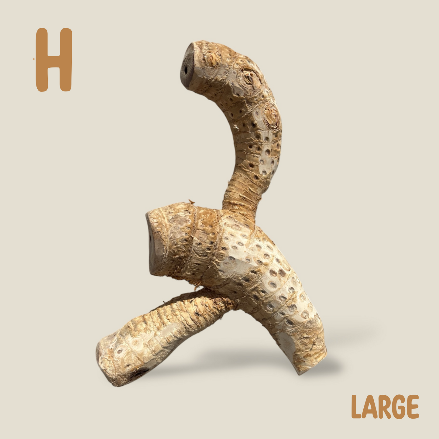 Bamboo Root