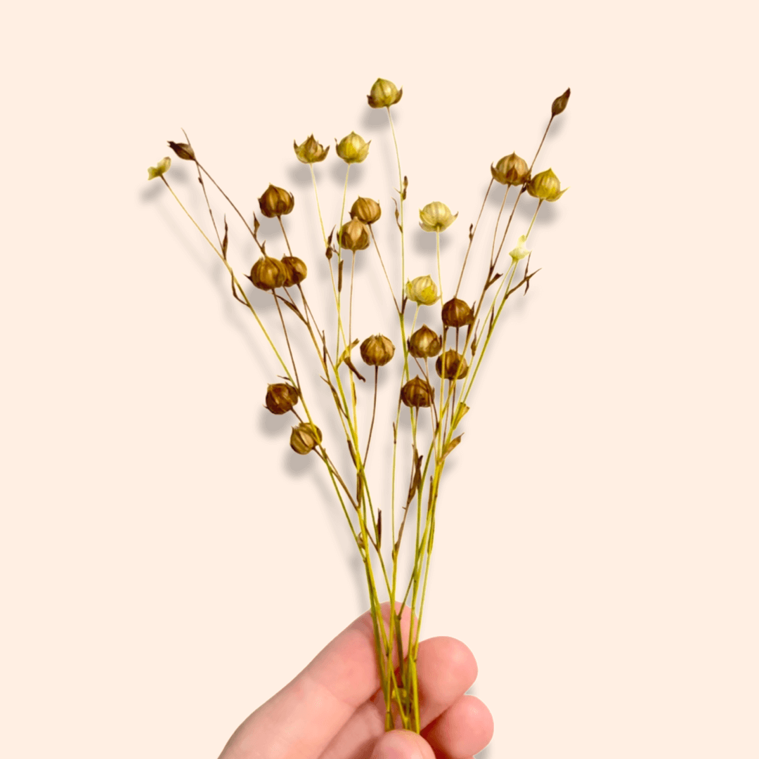 Flaxseed Spray