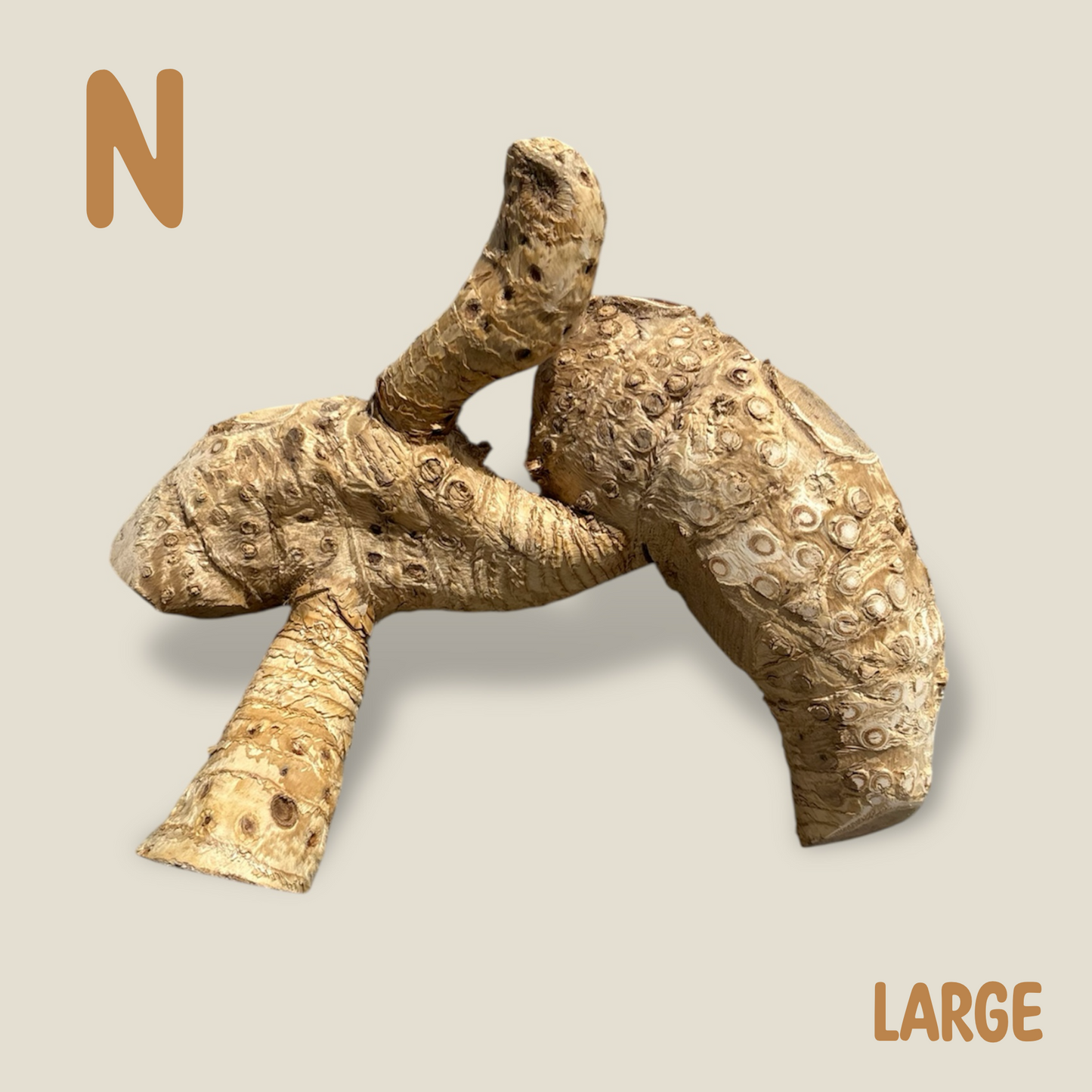 Bamboo Root