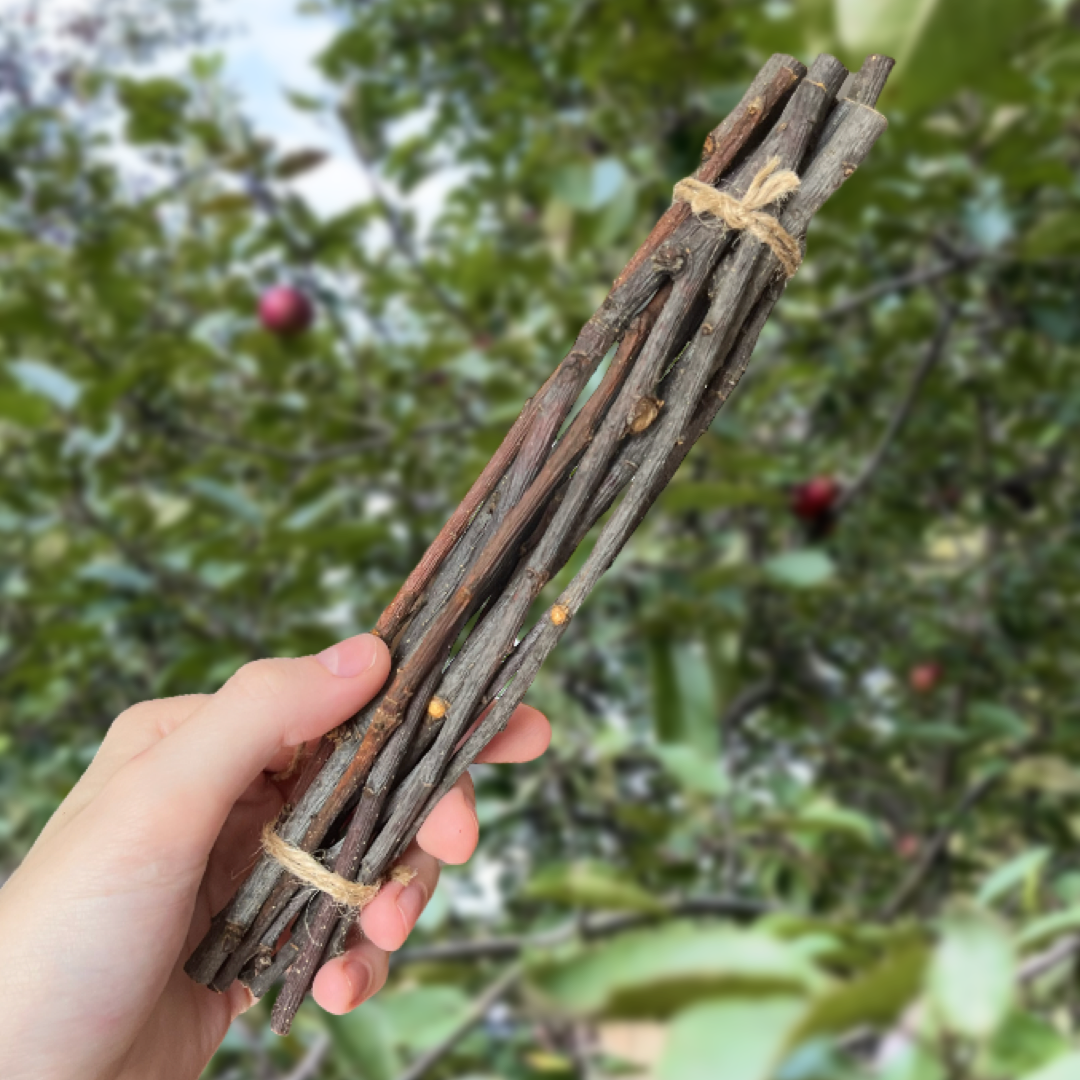 Apple Stick Bundle