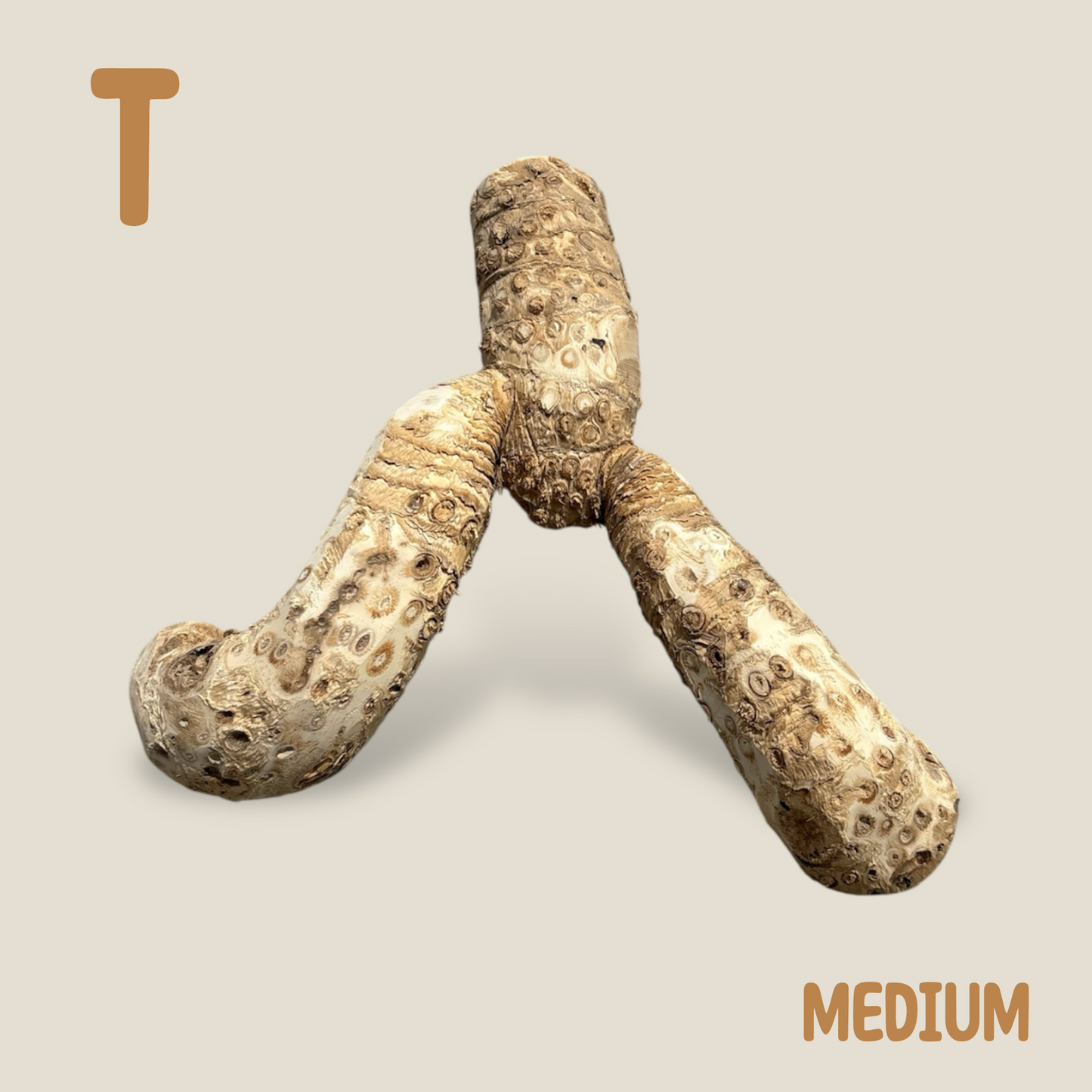 Bamboo Root