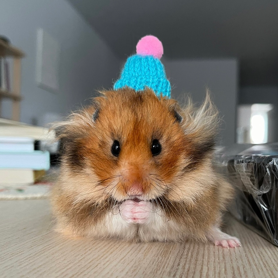 Tiny Knit Winter Hat