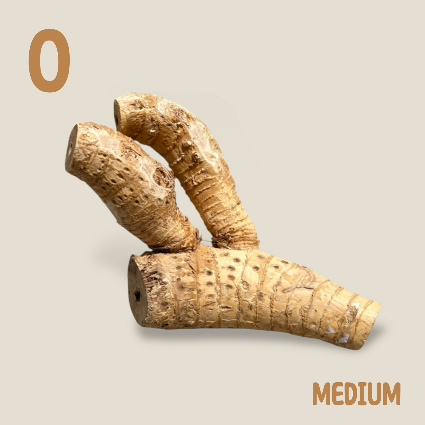 Bamboo Root