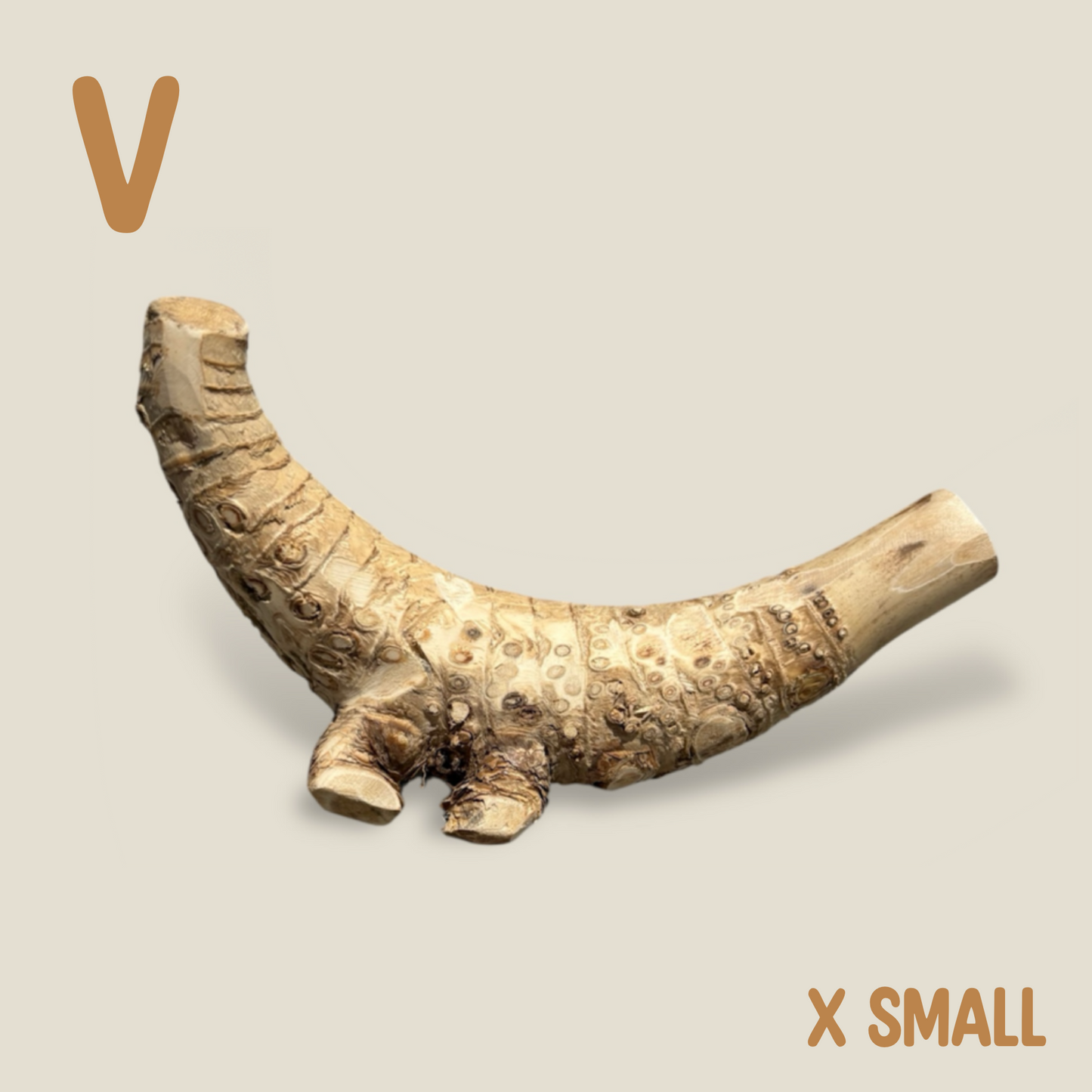Bamboo Root