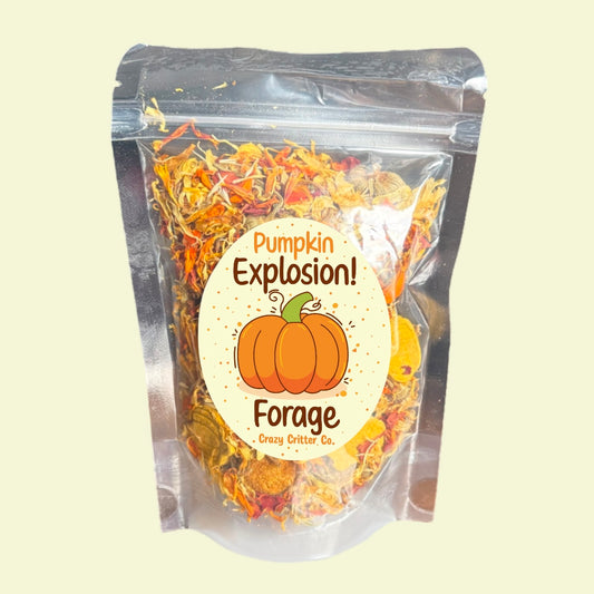 Pumpkin Explosion Forage!