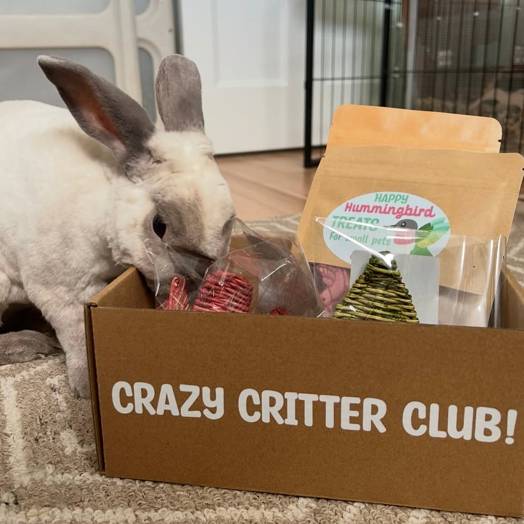 Crazy Critter Club Subscription Box