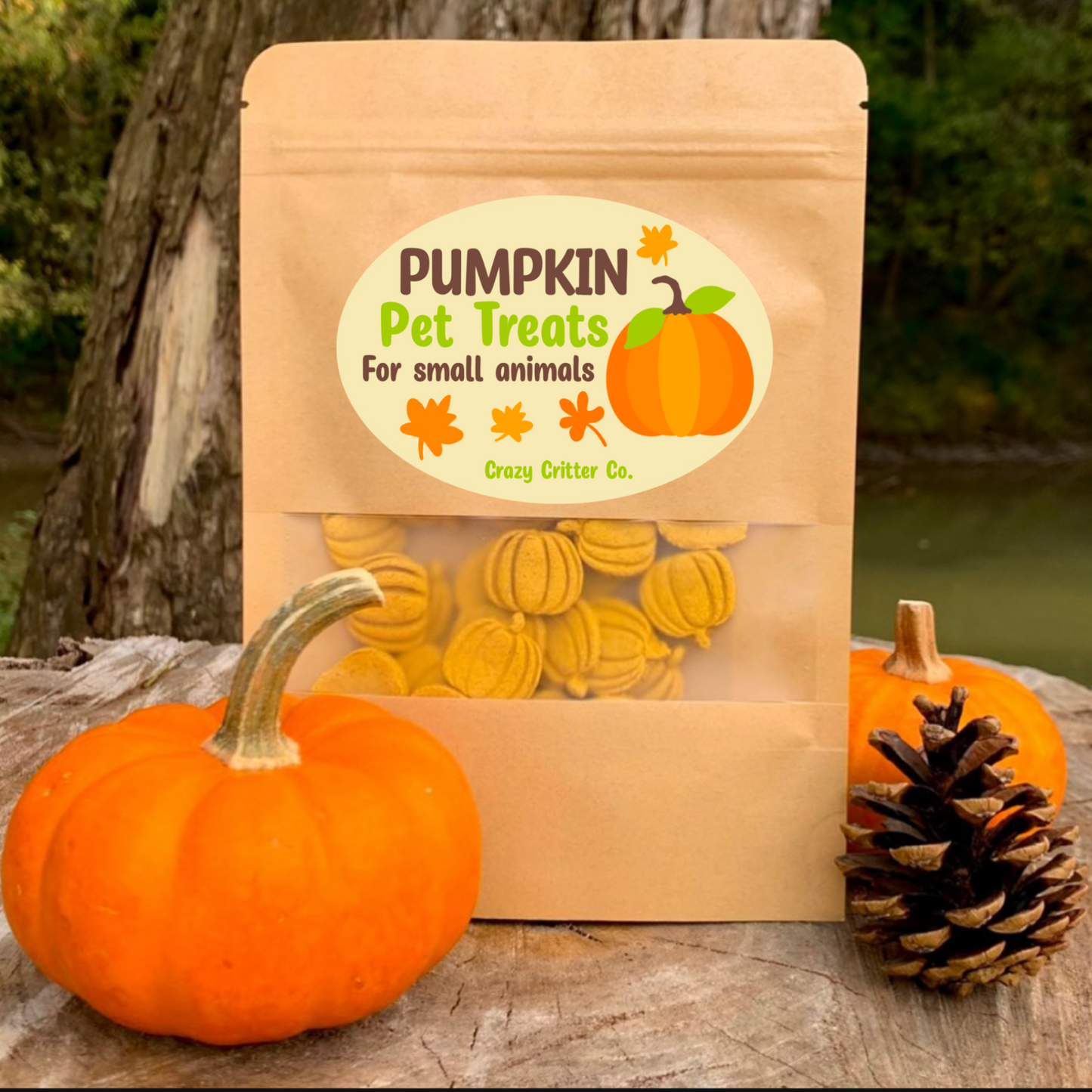 Oat Based Pumpkin Pet Treats