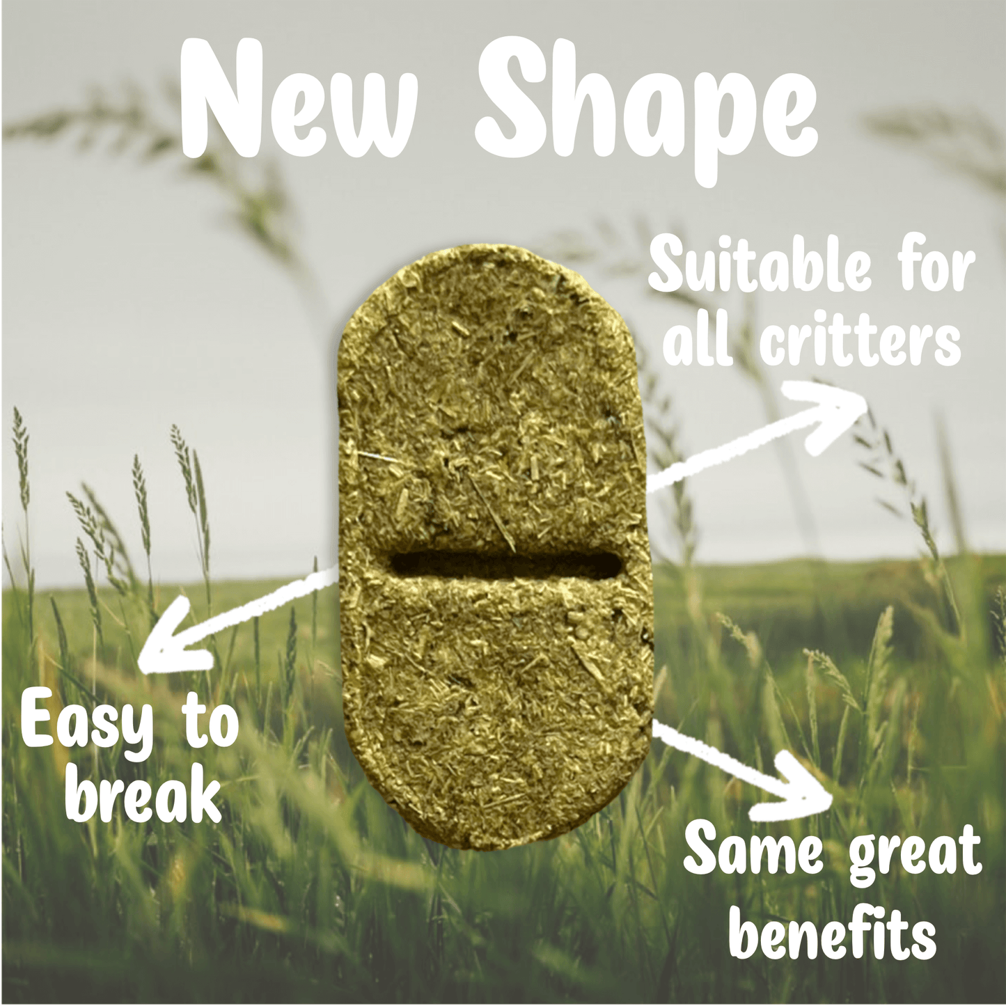 Digestive support supplements for small pets. Safe digestive support for rabbits, guinea pigs, chinchillas, and hamsters.