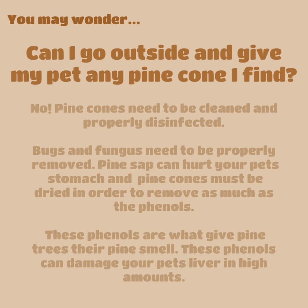 Small Pine Cone Chew