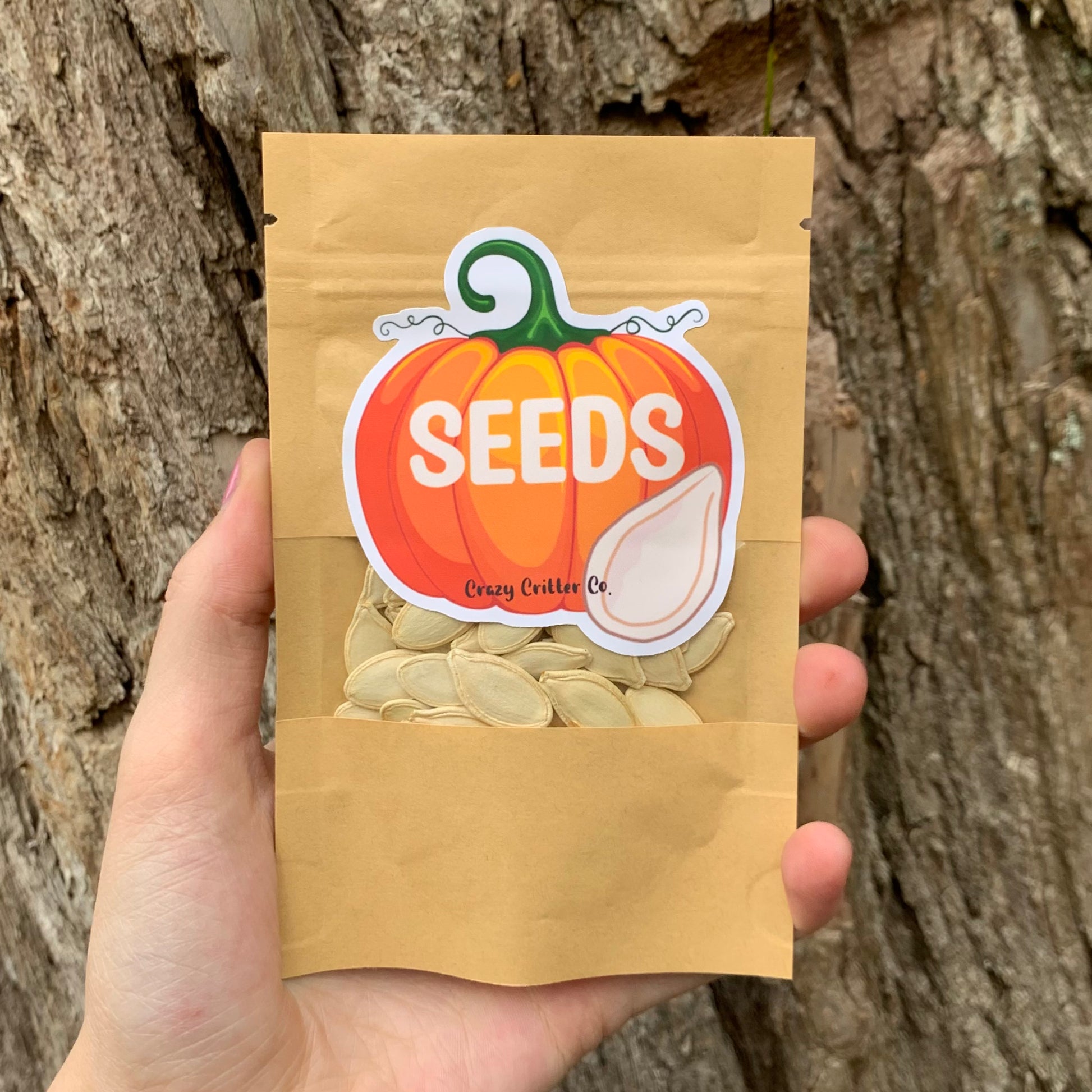 Natural unsalted pumpkin seeds treats for hamsters and gerbils