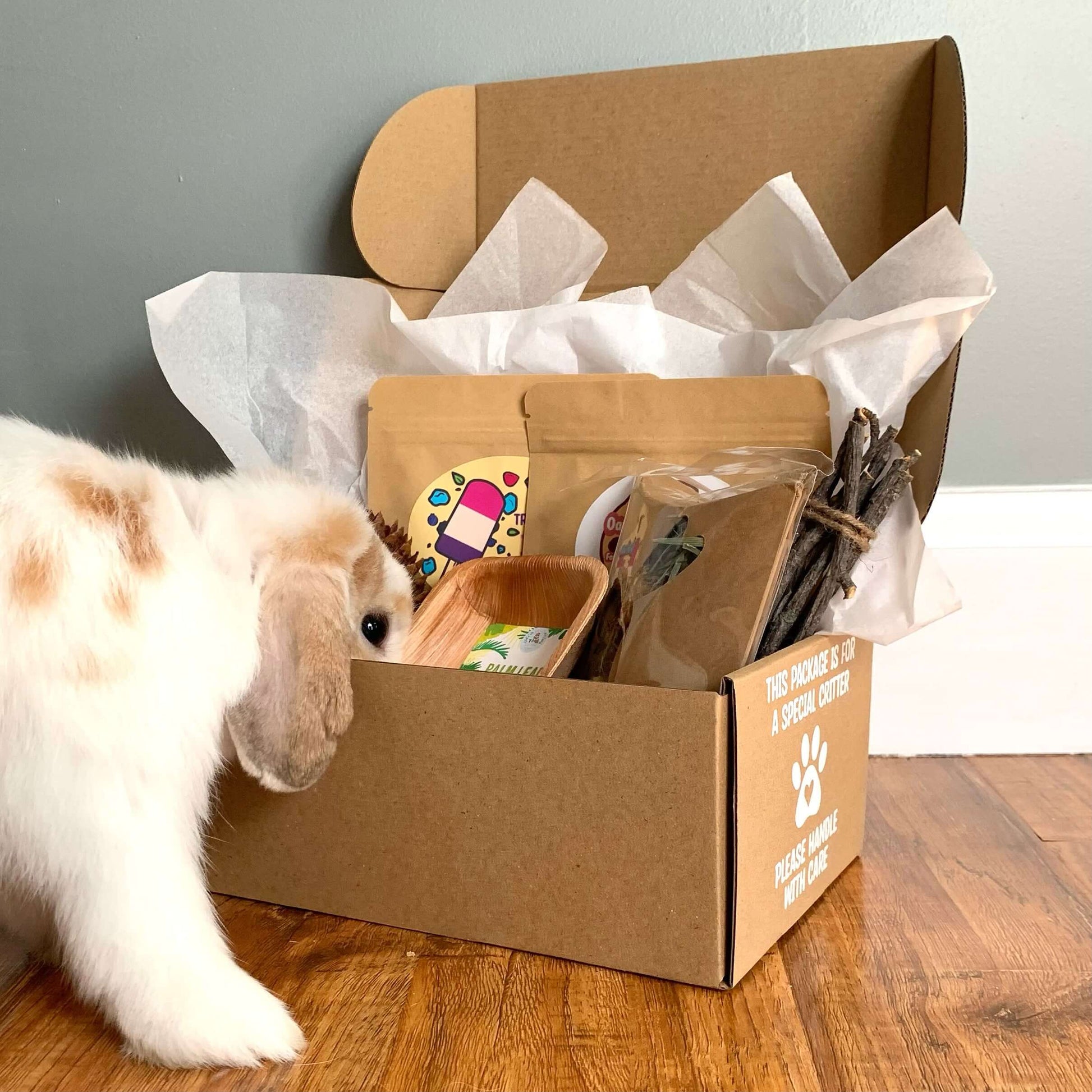 Crazy Critter Club subscription box for pet rabbits. Best rabbit subscription box.