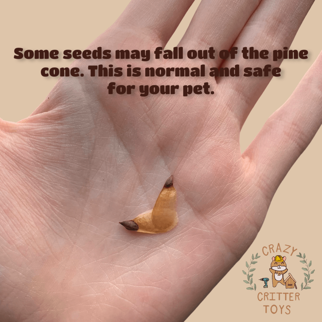 Large Sugar Pine Cone Chews