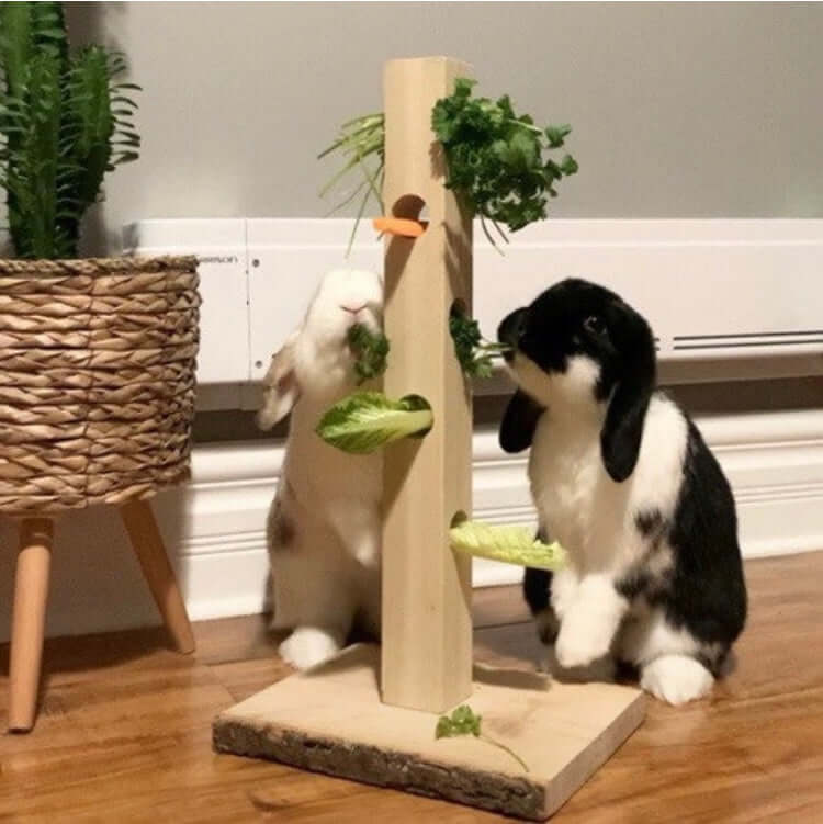 Rabbit Enrichment Tower Toy Made of Wood. Wooden furniture made for pet rabbits.