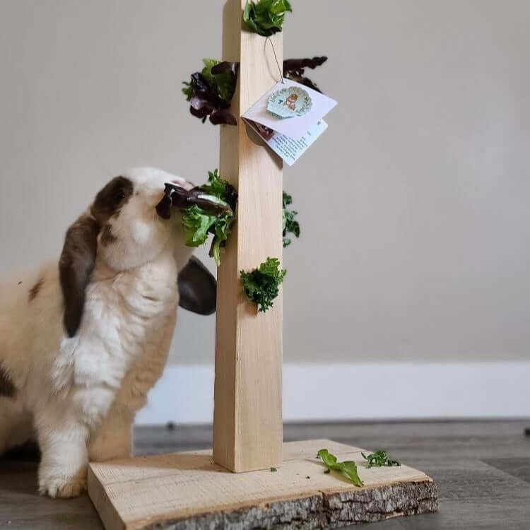 Rabbit Enrichment Tower Toy Made of Wood. Wooden furniture made for pet rabbits.