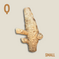 Bamboo Root