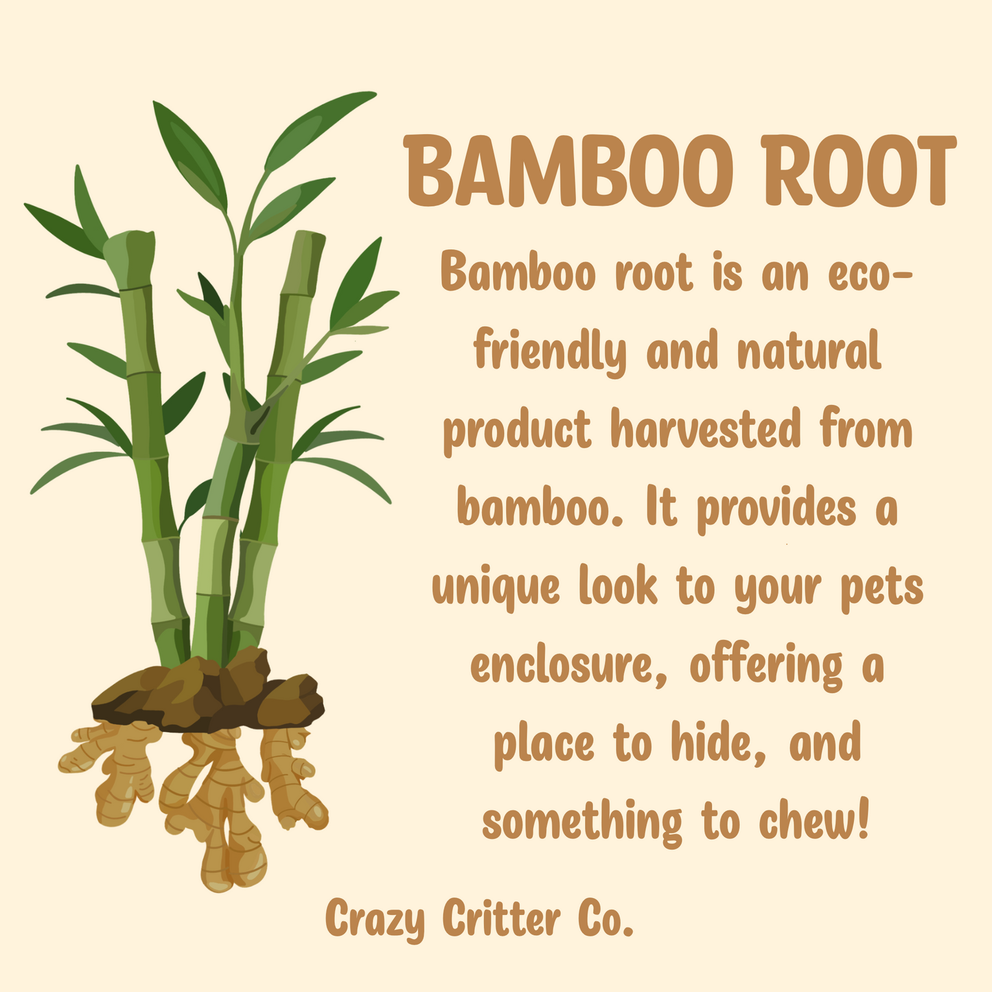 Bamboo Root