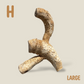 Bamboo Root