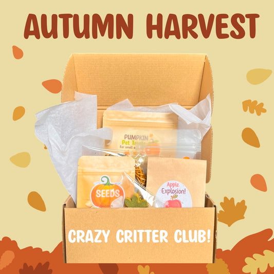 Crazy Critter Club Subscription Box