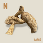 Bamboo Root