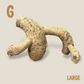 Bamboo Root