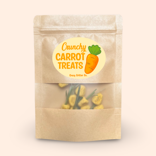 Crunchy Carrot Treats Carrot Shaped Pet Treats