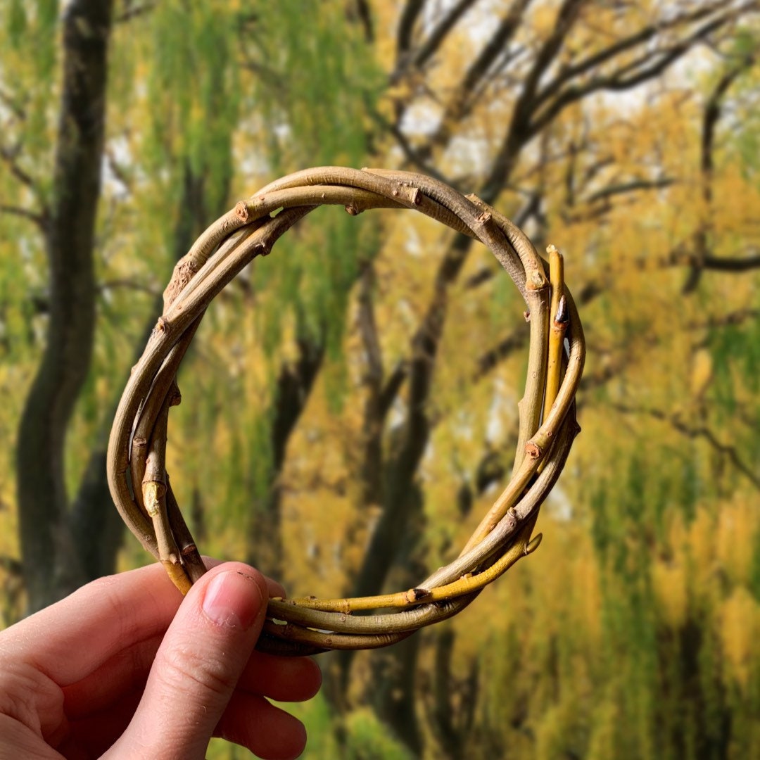 Willow ring vine chew toy for small pets. Safe chews for rabbits, guinea pigs, and all other small pets.