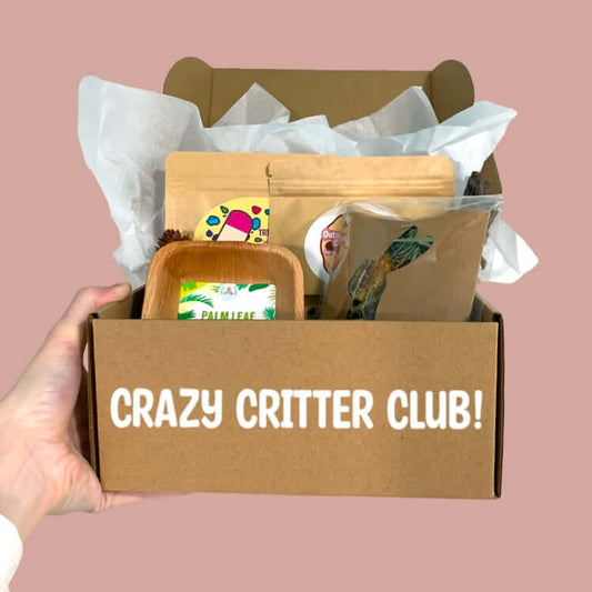 Crazy Critter Club subscription box for small animals. Subscription box for small pets.