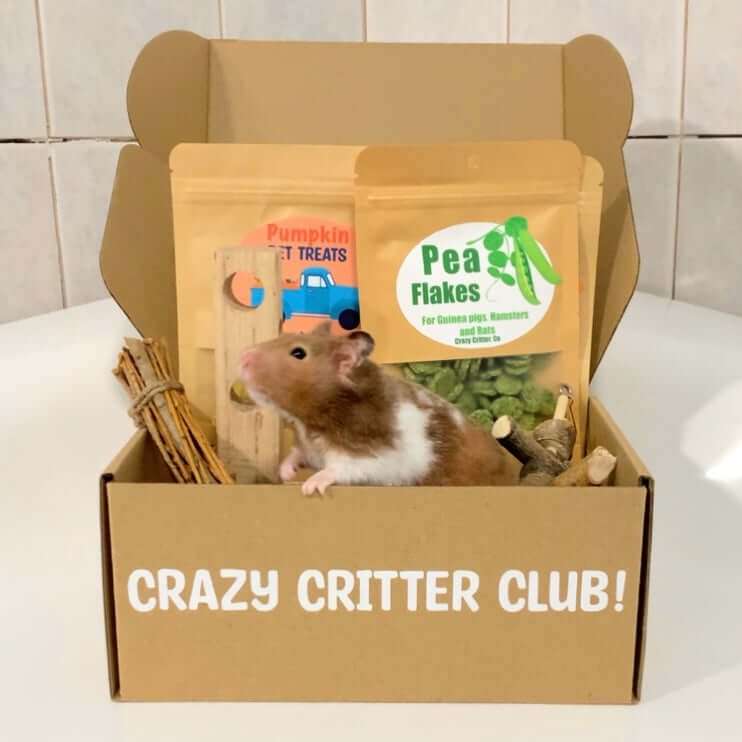 Hamster box outlet