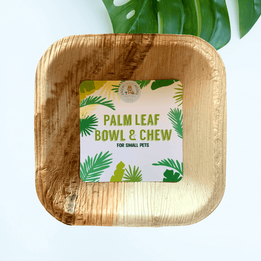 Edible small pet palm leaf bowl chew toy.  For rabbits, guinea pigs, chinchillas, hamsters, rats and mice.