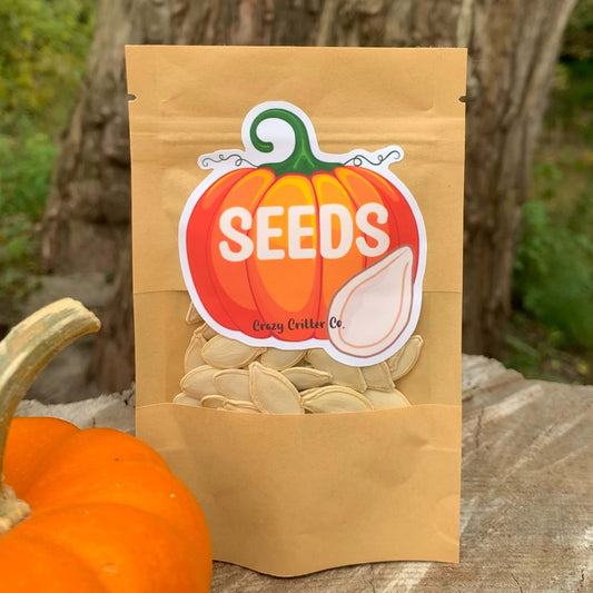 Natural unsalted pumpkin seeds treats for hamsters and gerbils